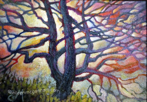 Wild Pacific Tree